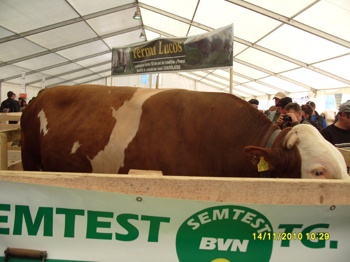 S1050747 - Indagra 2010