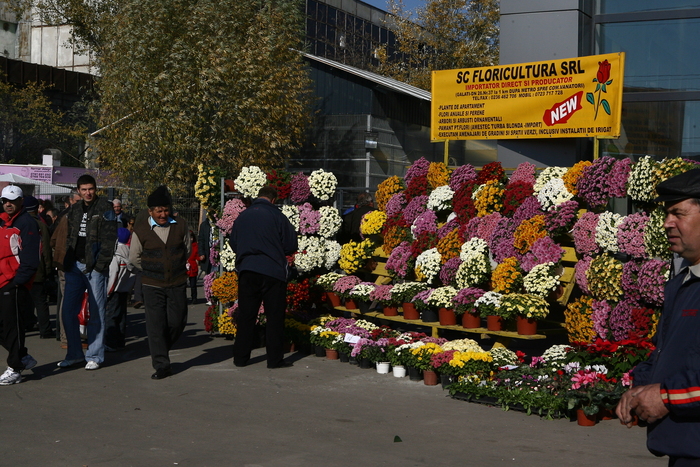 expo galati (312) - expo internationala galati 2010-exotica