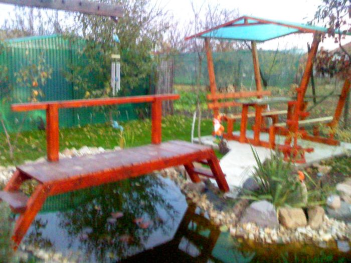 PIC007 - IAZ deliu
