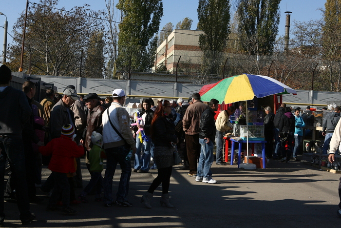 expo galati (311) - EXPO GALATI-PREMIERE