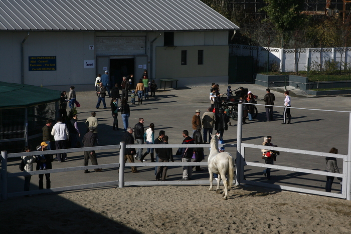 expo galati (320) - EXPO GALATI-PREMIERE