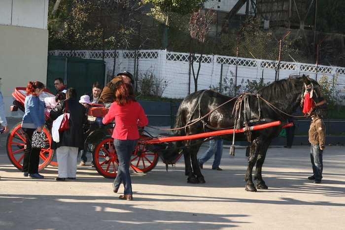 expo galati (339)