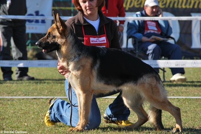 Mirra - CLUJ 2010