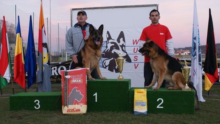 Veterani Masculi - CLUJ 2010