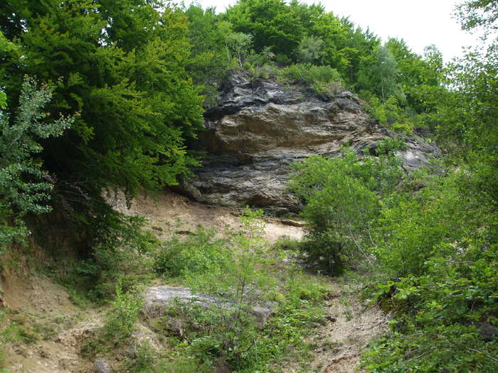 DSCF4316 - Instantanee-diverse