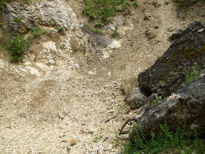DSCF4317 - Instantanee-diverse