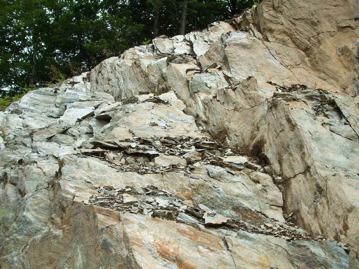 DSCF4334 - Instantanee-diverse