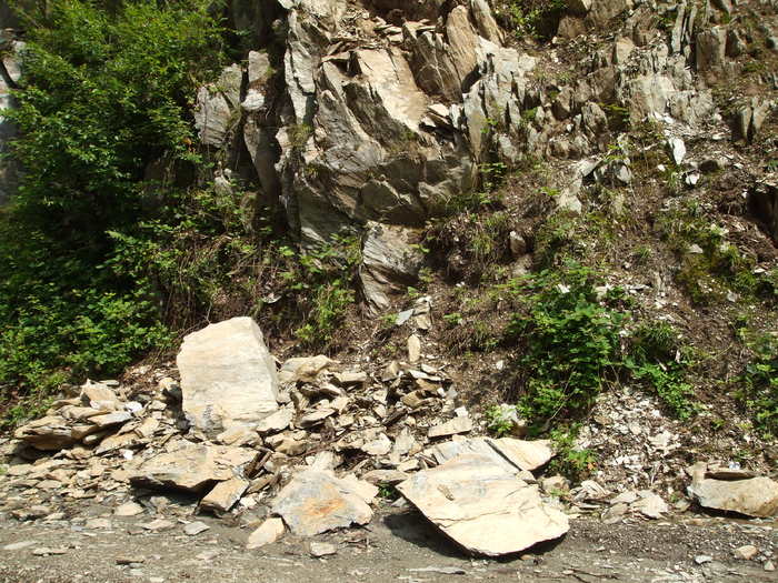DSCF4338 - Instantanee-diverse