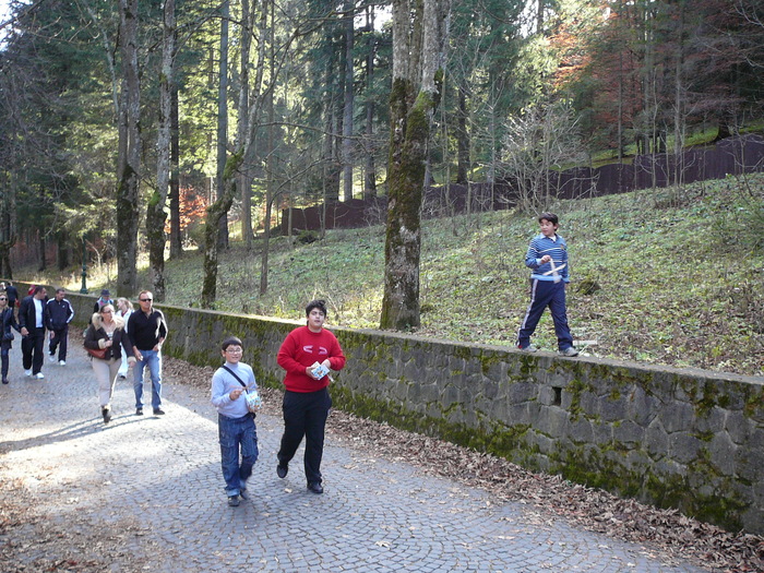 P1210439 - 13-14 nov 2010 excursie Sinaia - Busteni - Brasov - etc