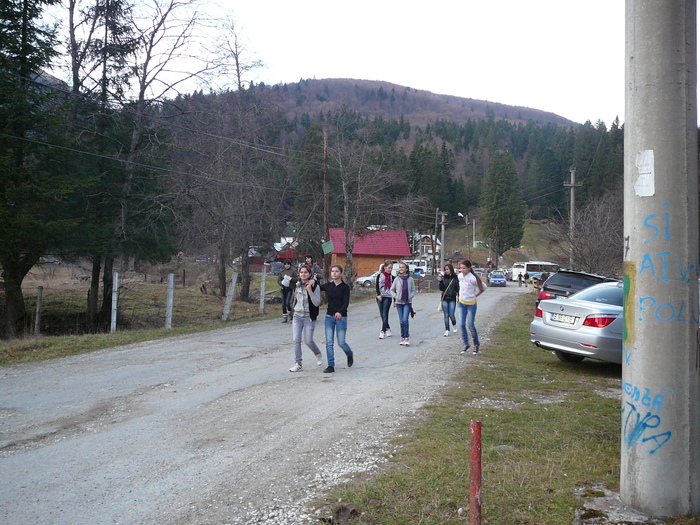 P1210492 - 13-14 nov 2010 excursie Sinaia - Busteni - Brasov - etc
