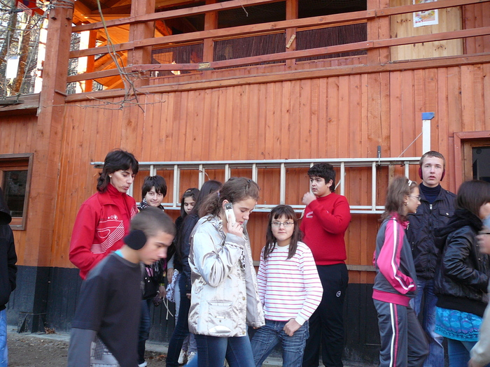P1210550 - 13-14 nov 2010 excursie Sinaia - Busteni - Brasov - etc