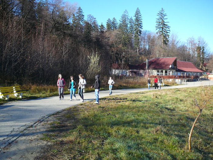 P1210556 - 13-14 nov 2010 excursie Sinaia - Busteni - Brasov - etc