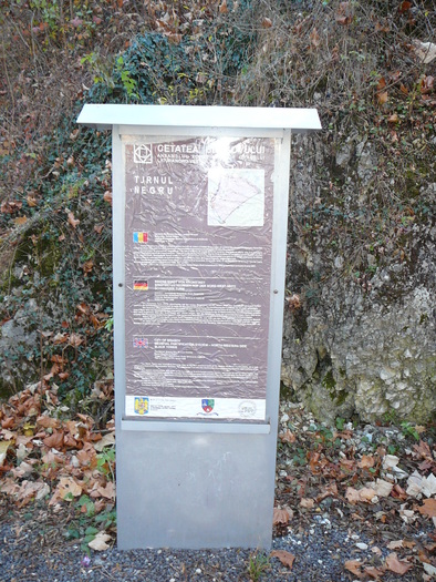 P1210607