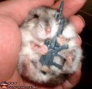 ooooooooooooooooooooo