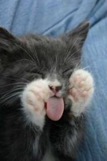 zzzzzzzzzzzzzzzzzzzzzz