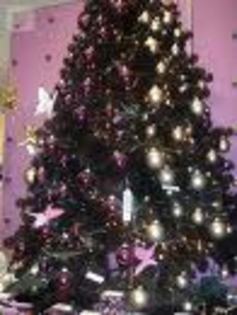 Acum urmeaza sa vedem participantii...!!!