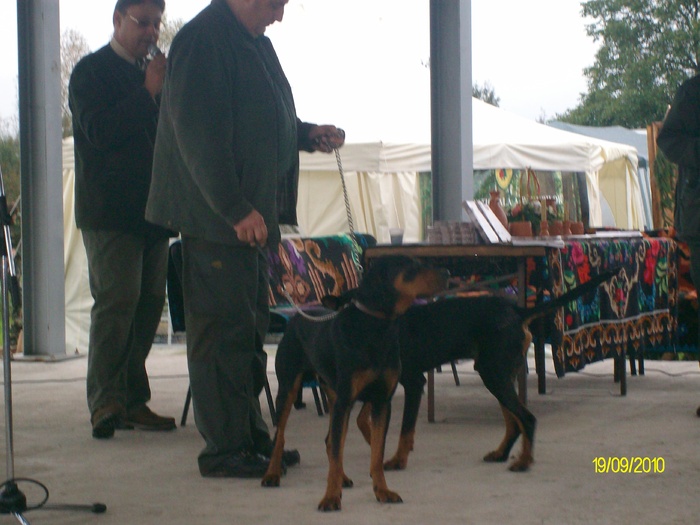 SANY3241 - festivalul vanatori bata jud arad