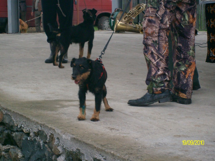 SANY3245 - festivalul vanatori bata jud arad