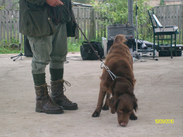 SANY3257 - festivalul vanatori bata jud arad