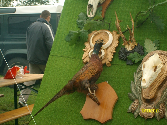 SANY3269 - festivalul vanatori bata jud arad