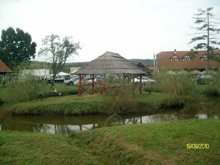 SANY3310 - festivalul vanatori bata jud arad