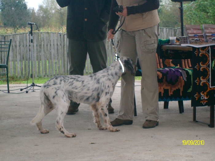 SANY3250 - festivalul vanatori bata jud arad