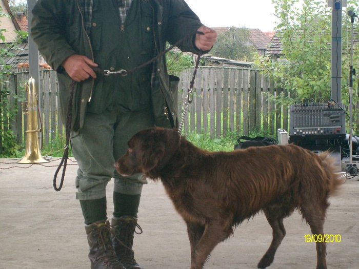 SANY3258 - festivalul vanatori bata jud arad