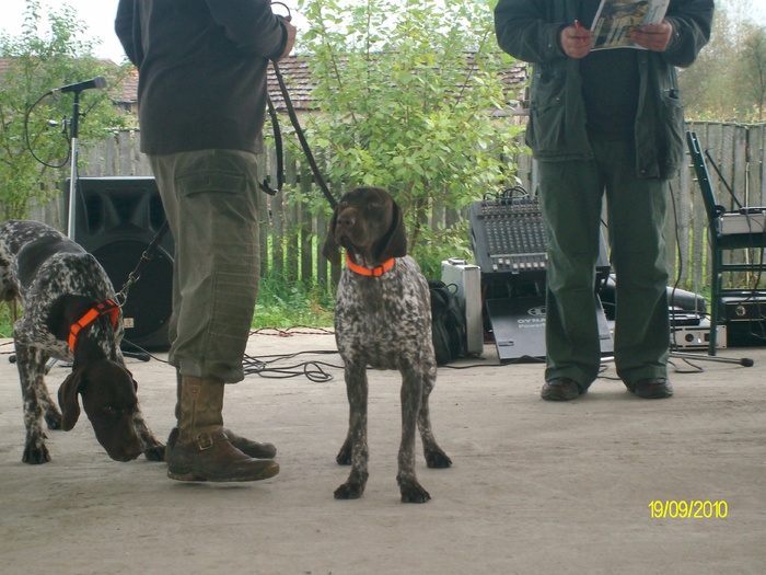 SANY3262 - festivalul vanatori bata jud arad
