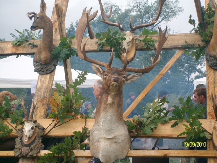 SANY3266 - festivalul vanatori bata jud arad