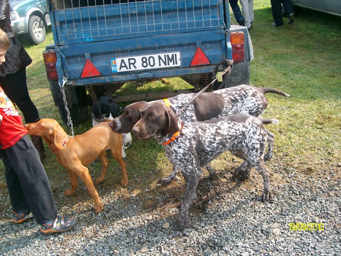SANY3291 - festivalul vanatori bata jud arad