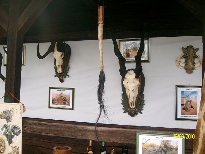 SANY3315 - festivalul vanatori bata jud arad