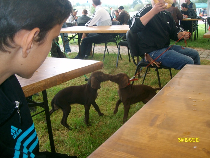 SANY3218 - festivalul vanatori bata jud arad