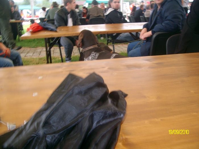 SANY3222 - festivalul vanatori bata jud arad