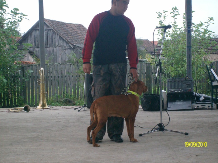 SANY3234 - festivalul vanatori bata jud arad