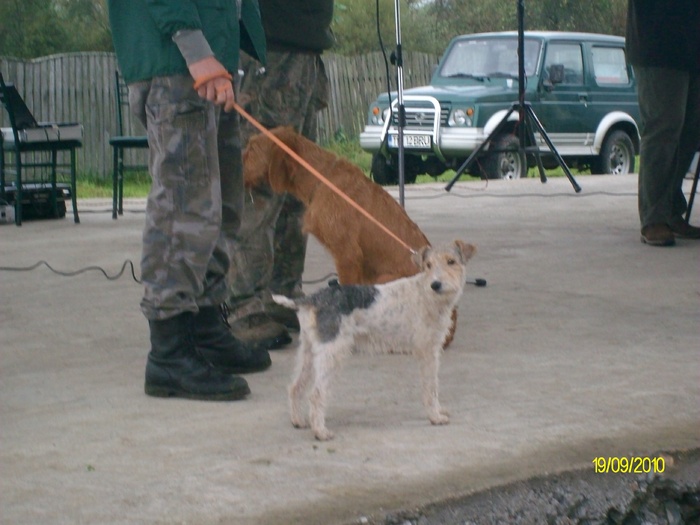 SANY3239 - festivalul vanatori bata jud arad