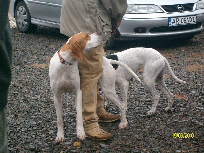 SANY3243 - festivalul vanatori bata jud arad