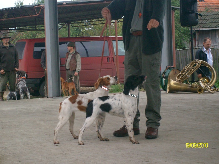 SANY3247 - festivalul vanatori bata jud arad