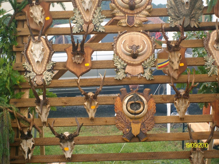 SANY3267 - festivalul vanatori bata jud arad