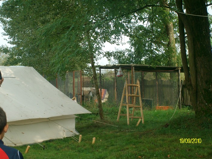 SANY3300 - festivalul vanatori bata jud arad