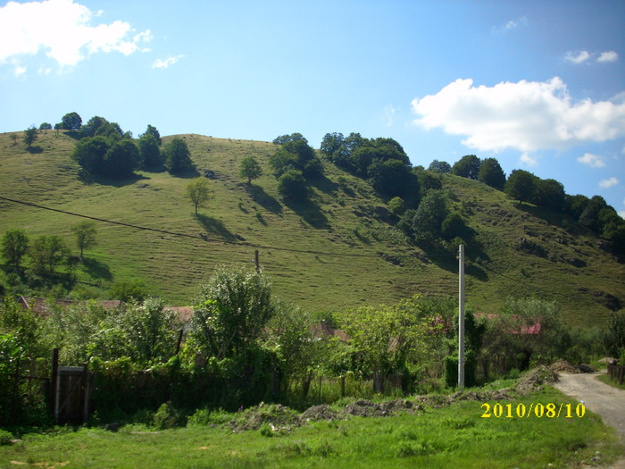 DSCI0088 - imagini din fereastra trenului