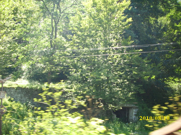 DSCI0119 - imagini din fereastra trenului