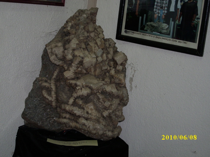 DSCI0591 - amintiri de la Ocna de Fier 2010