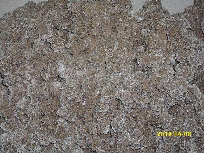 DSCI0594 - amintiri de la Ocna de Fier 2010