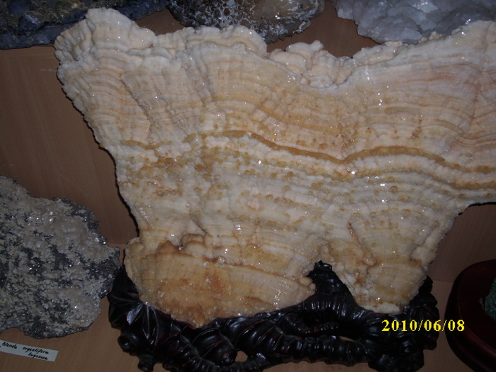 DSCI0633 - amintiri de la Ocna de Fier 2010