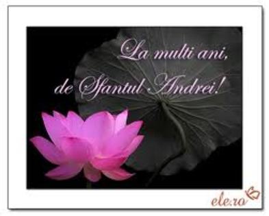 images - Numele Andreea