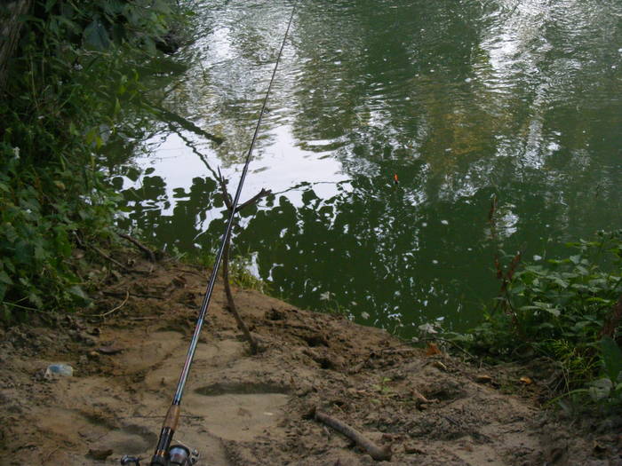 2009_0806sfish0018 - Bistrita