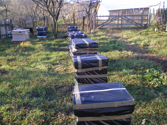 Stupii pregatiti pt. iarna