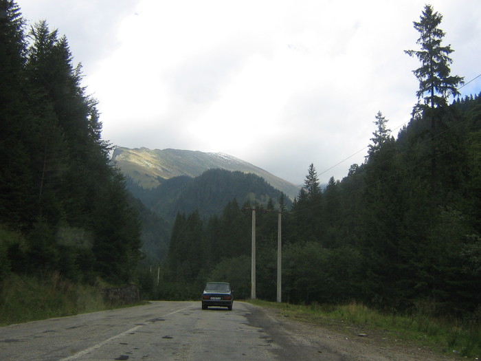 spre cabana capra - PE TRANSFAGARASAN