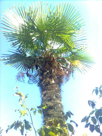 D33a0237 - Italia 2010