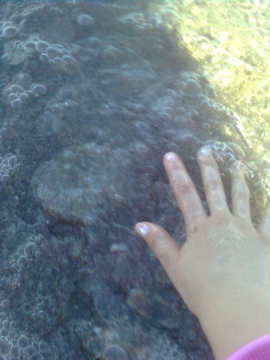 D33a0258 - Italia 2010